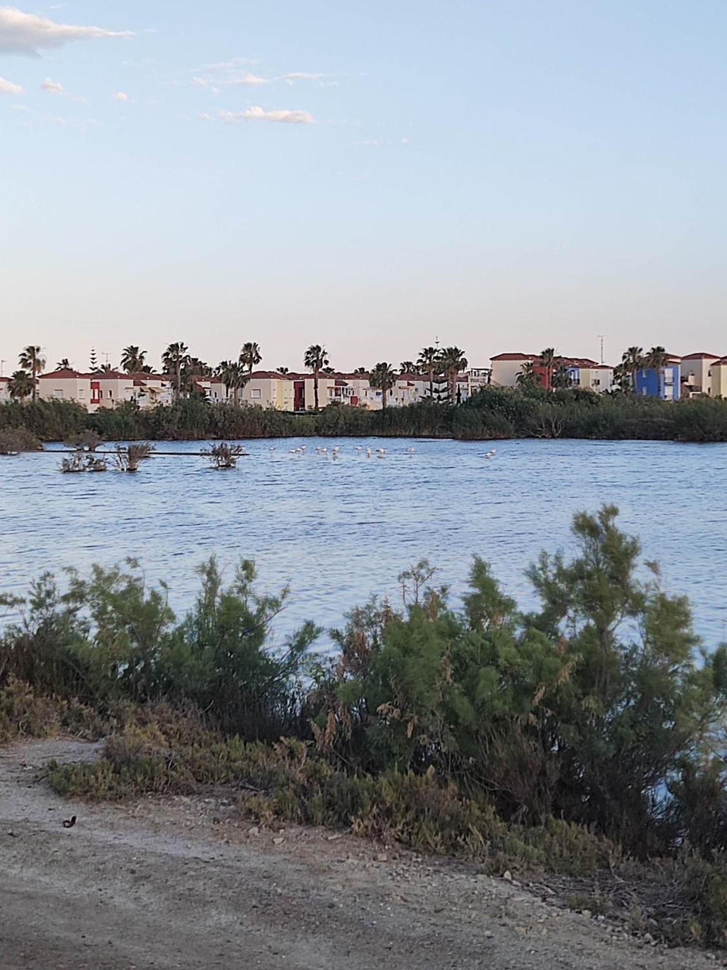 El Mirador De Torremari - Nudista - Vera Playa Esterno foto